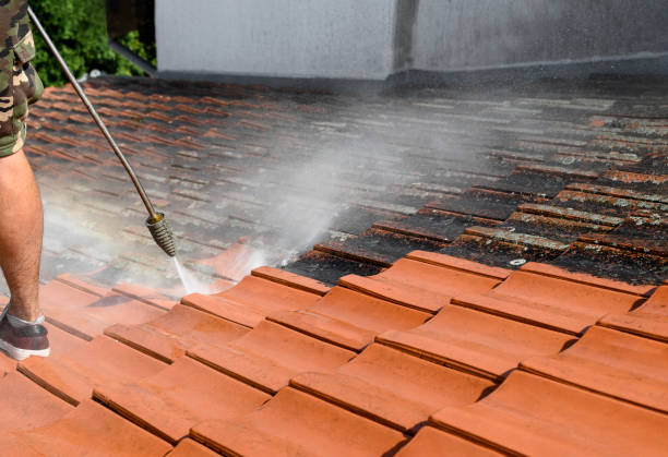 Best Garage Pressure Washing  in Clarksville, IA